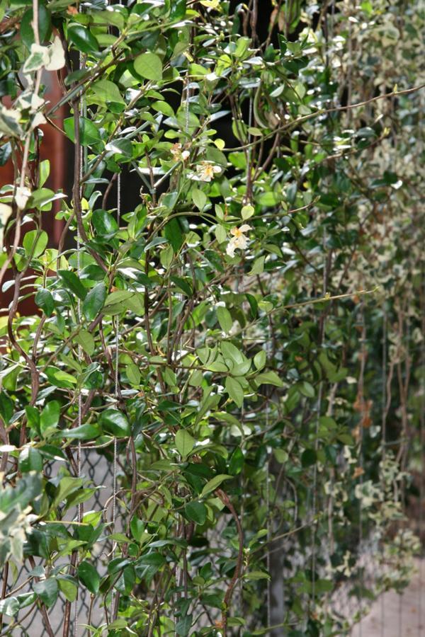 Le Tre Arti B&B San Zenone Extérieur photo